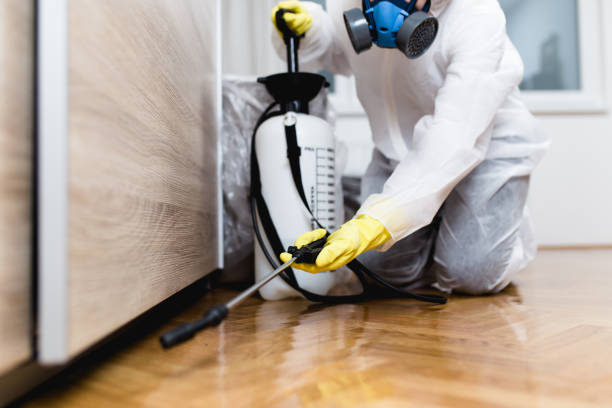 Flea Control Services in South Russell, OH