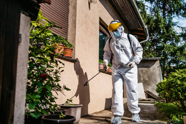 Best Flea Control Services  in South Russell, OH