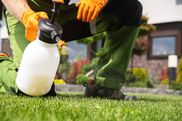 Best Affordable Pest Control Services  in South Russell, OH
