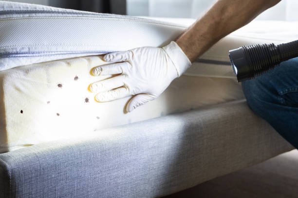 Best Wildlife Control Services  in South Russell, OH
