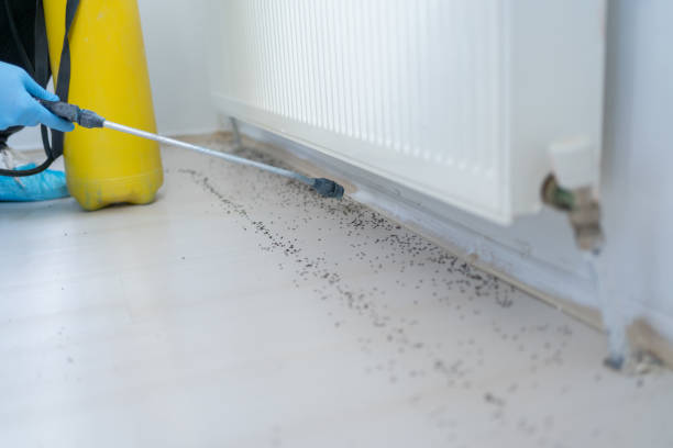 Best Cockroach Control Services  in South Russell, OH