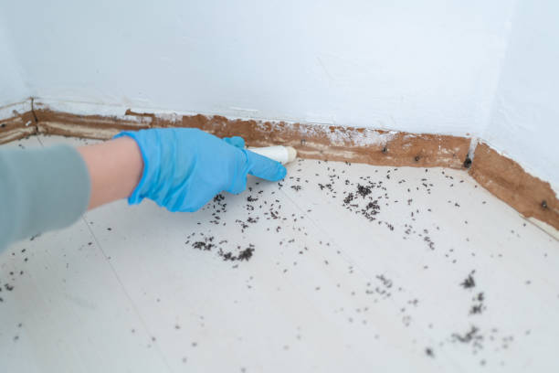 Best Residential Pest Control  in South Russell, OH