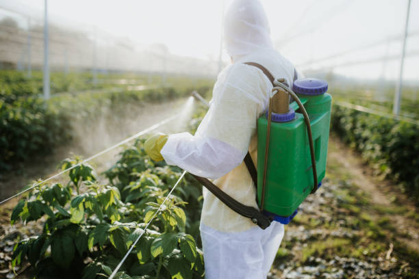 Best Pest Control Near Me  in South Russell, OH